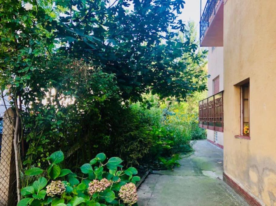 Joy City Stay Colonel Enescu 3 Temeşvar Dış mekan fotoğraf