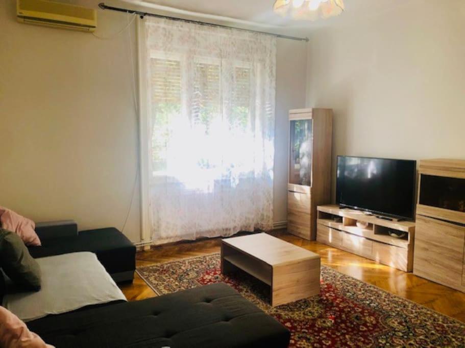 Joy City Stay Colonel Enescu 3 Temeşvar Dış mekan fotoğraf